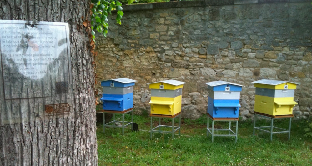 Location de ruche